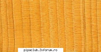 lemnul cedru stefan, fibra este dispusa ori lung, ori lat, depinde cum tii placajul cedru, vezi cum