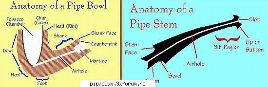 anatomia unei pipe vrea discutam putin despre anatomia unei pipe, din punct vedere foarte multe ori,