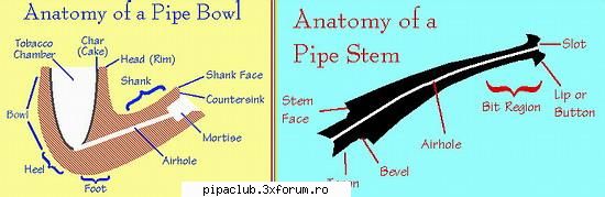 Anatomia unei pipe - As vrea sa discutam putin despre anatomia unei - Pipele voastre