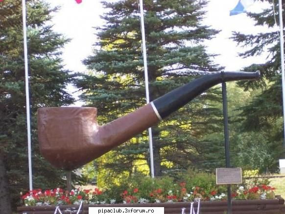 Ce mai gasim pe net... - Cea mai mare pipa din lume o gasim in Canada - Discutii generale