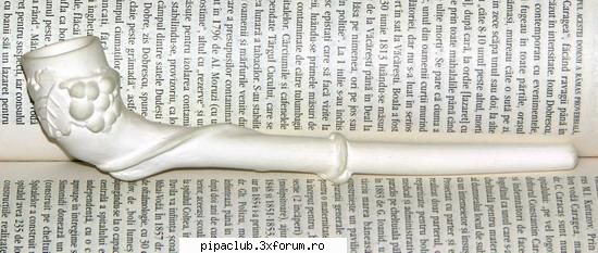 Pipe de lut - 4 - Grape vine pipe - Pipele voastre