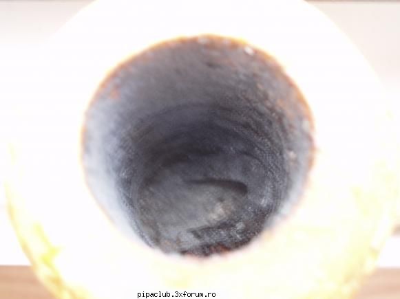 Pipe nin cocean la JPB - bogdandr - Pipele voastre