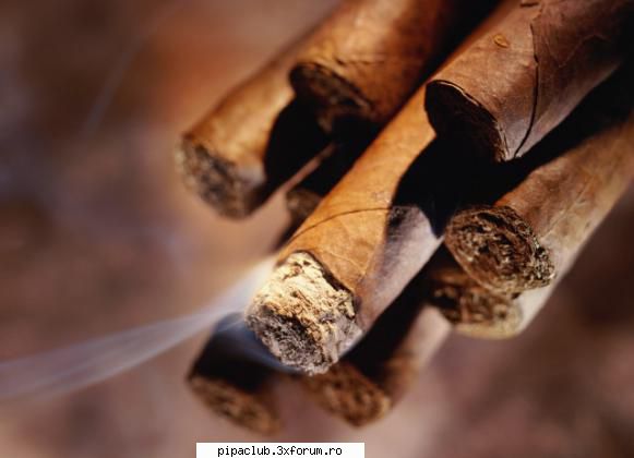 Tombola lunii februarie - Dragi prieteni si membri ai clubului nostru, Veni - Cubaneze