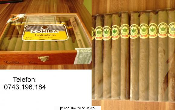 Vand trabucuri - Am de vanzare 22 buc trabucuri Cohiba - Vanzari tutun de pipa si trabucuri