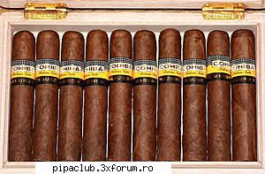 cutie cu 10 trabucuri cohiba maduro magicos. 
pret: 500 ron. tel. 0722494029 ym: rrm012001 vand