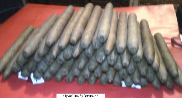 am 60 buc dar nush sa va spun de kre snt-300 lei vreau pe toate,  3 buc vegafina; davidoff tub 2000