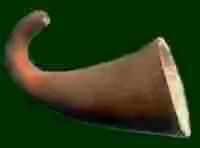 calabash 1 - Se pare ca gourdul e pus din perioada de crestere - Producatori de pipe (pipieri)