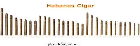 vitola - unui trabuc, adica raportul dintre lungime si diametrul trabucului ( ex. robusto 124 mm/50